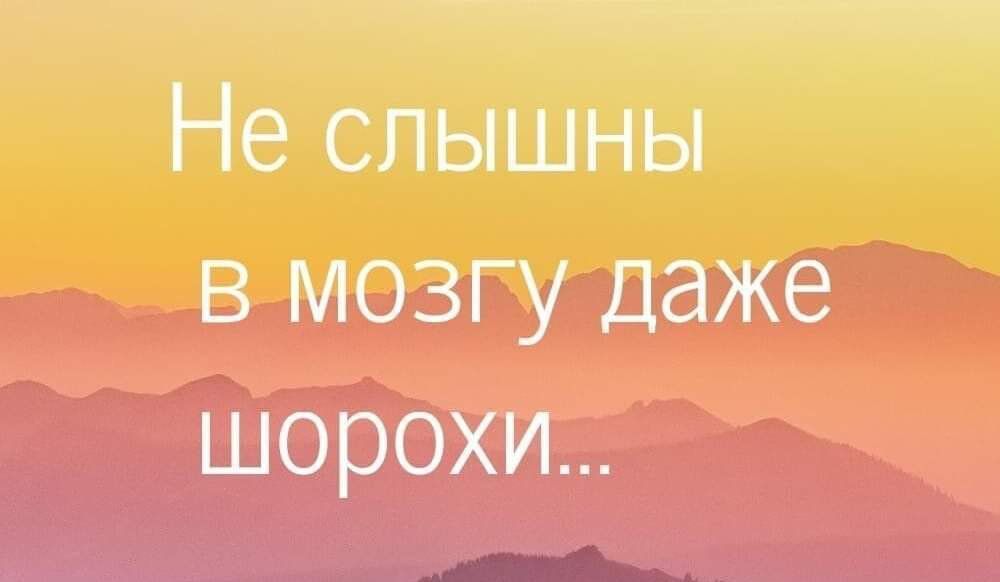 Не слышны в мозгу даже шорохи