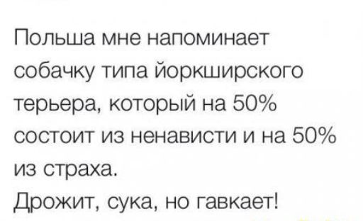 Польша мне напоминает собачку типа йоркширского терьера который на 50 состоит из ненависти и на 50 из страха Дрожит сука но гавкает