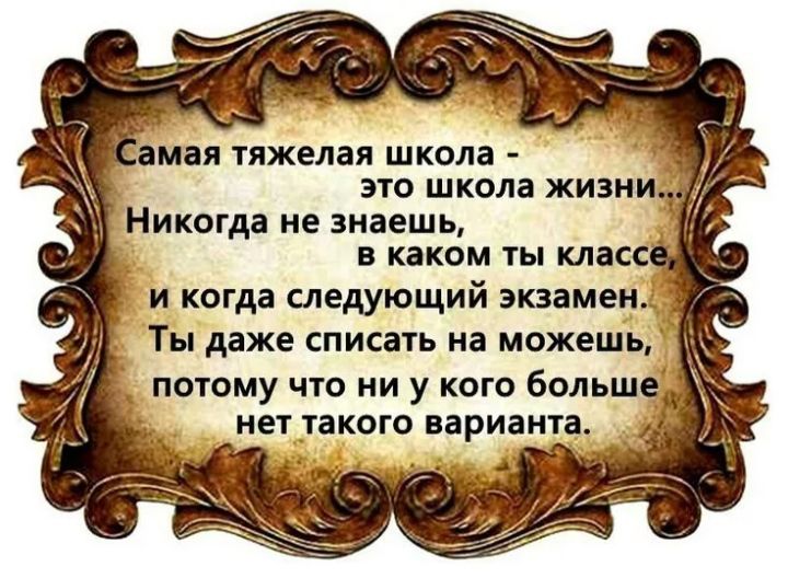 амая тяжелая школа _ это школа жизни Никагда не знаешь в каком ты класс и когда следующий экзамен Ты даже списать на можешь ПОТОМУ что И У КОГО больше нет такого варианта