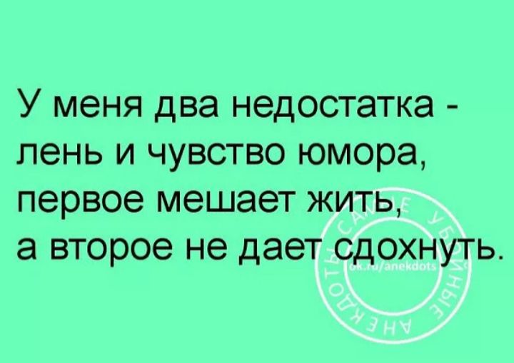 У меня два НЭДОСТЭТКЭ пень И ЧУВСТВО юмора первое мешает ЖИТЬ а ВТОРОВ не дает СДОХНУТЬ