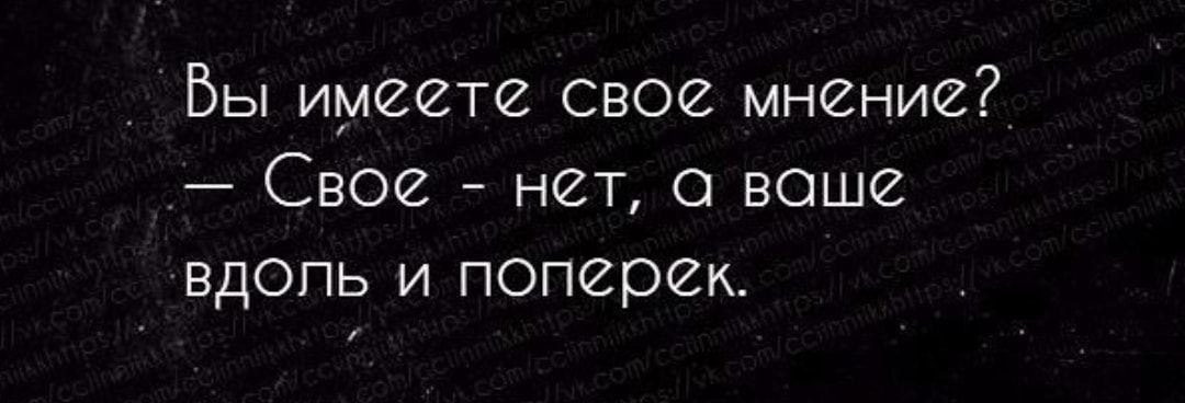 Вы имеете свое мнение Свое нет а ваше вдоль и поперек