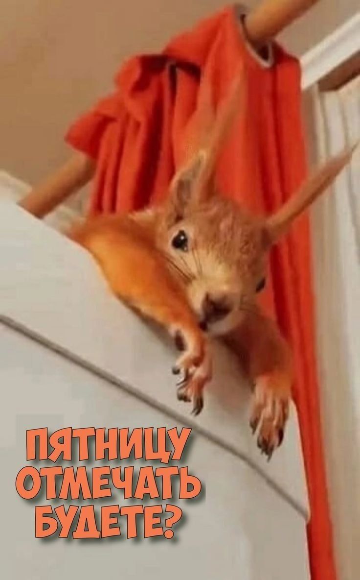 1 ОТМЁЁЧдть БУШЁЁ