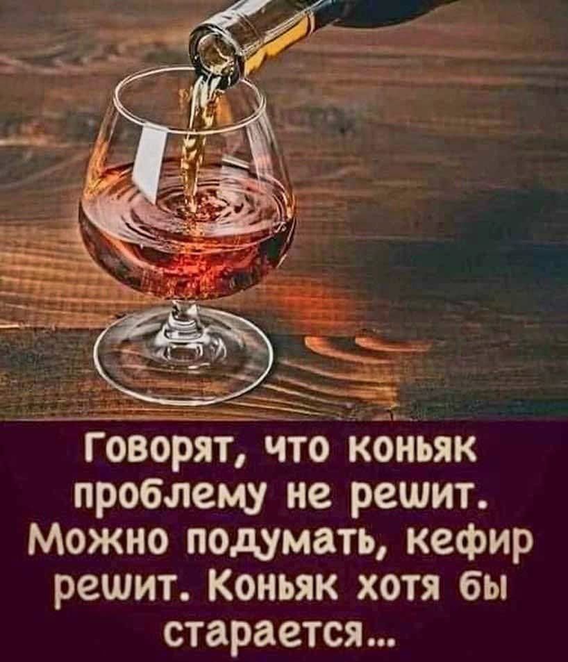 Говорят что коньяк проблему не решит Можно подумать кефир решит Коньяк хотя бы старается