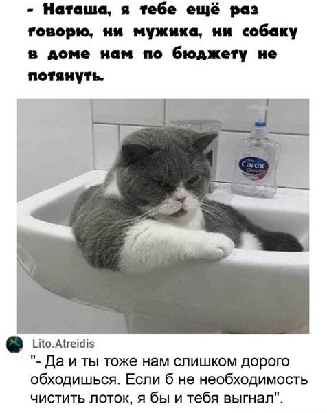 Нат шп пб ицБ и гимне ии мужик ии соб ку дми нем по бюджет и мнит ьіюмшіаіз да и ты тоже нам слишком дорого обходишься Если б не необходимость чистить поток я бы и тебя выгнал