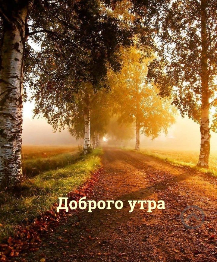 д_бброго утра