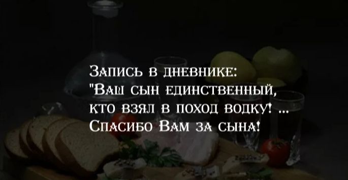 ЗАПИСЬ В ЦНЕВНИКЕ иВМД СЫН ЕДИНСТВЕННЫЙ КТО ВЗЯЛ В ПОХОД ВОЛКУ СПАСИБО ВШ зд СЫНМ