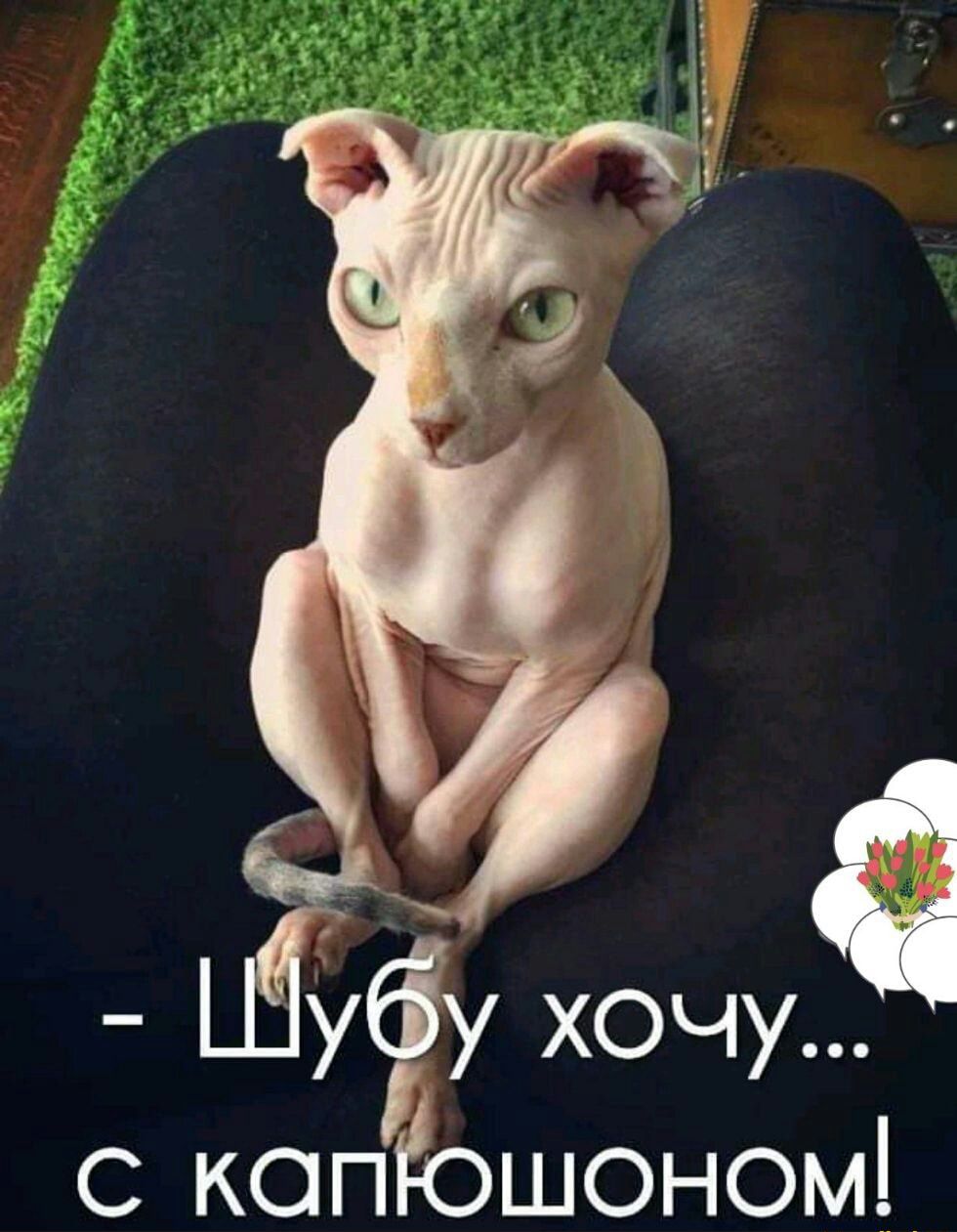 Яубіу хочуа копЁошоном
