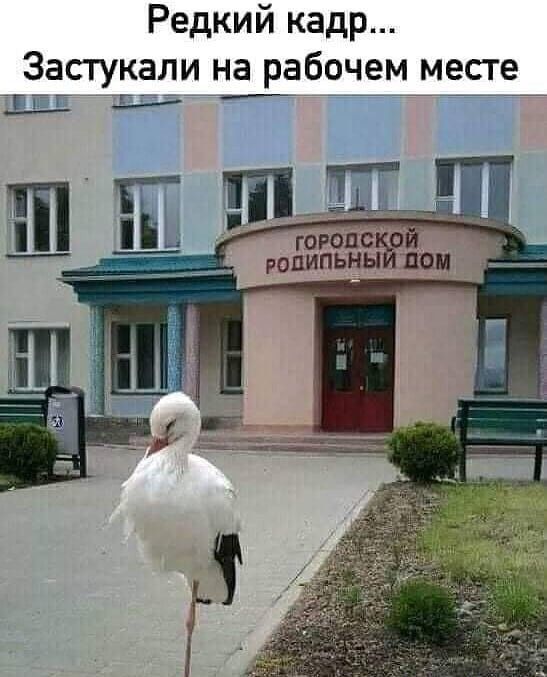 Редкий кадр Застукали на рабочем месте Гвг вй _ йй ропипьны пои