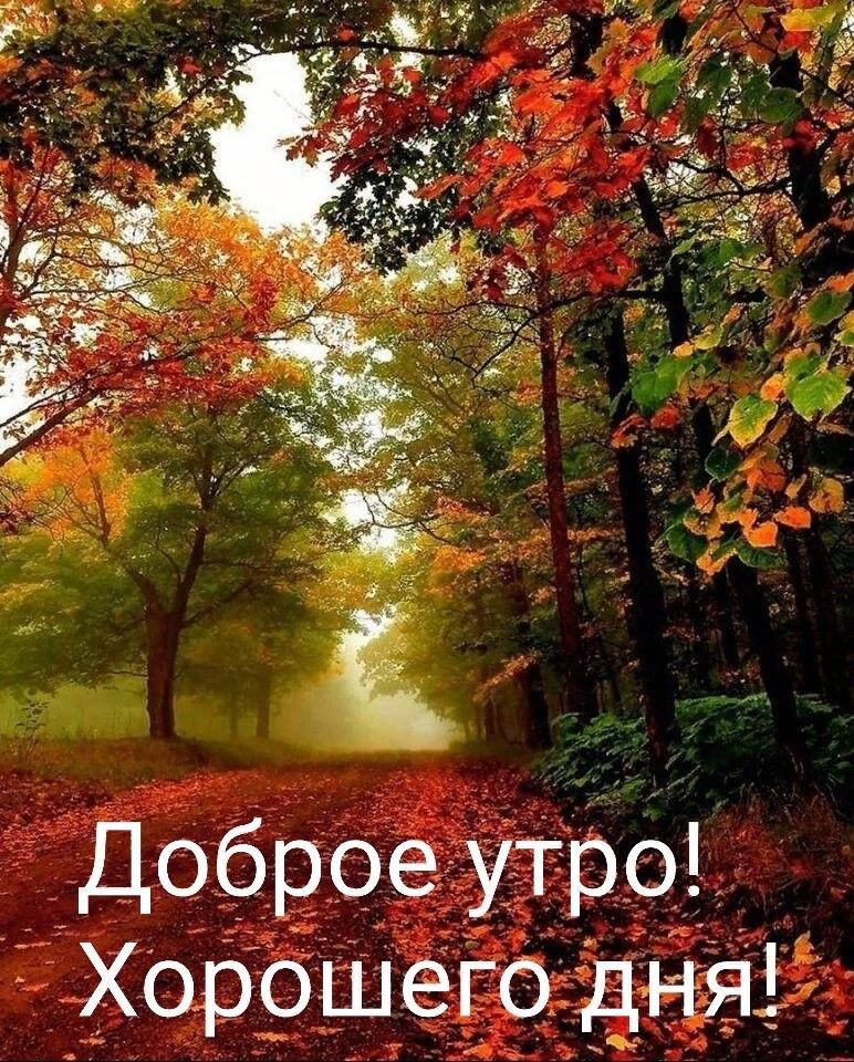 Доброе утро Хорошего дня