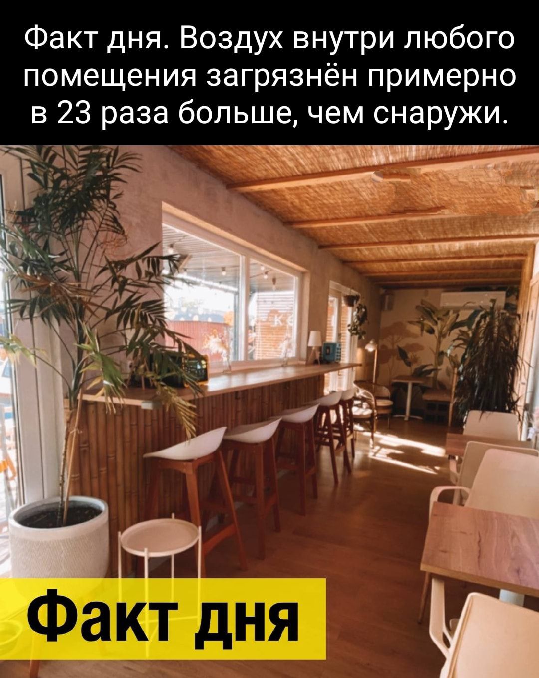 Факт дня Воздух внутри любого помещения загрязнён примерно в 23 раза большечем снаружи