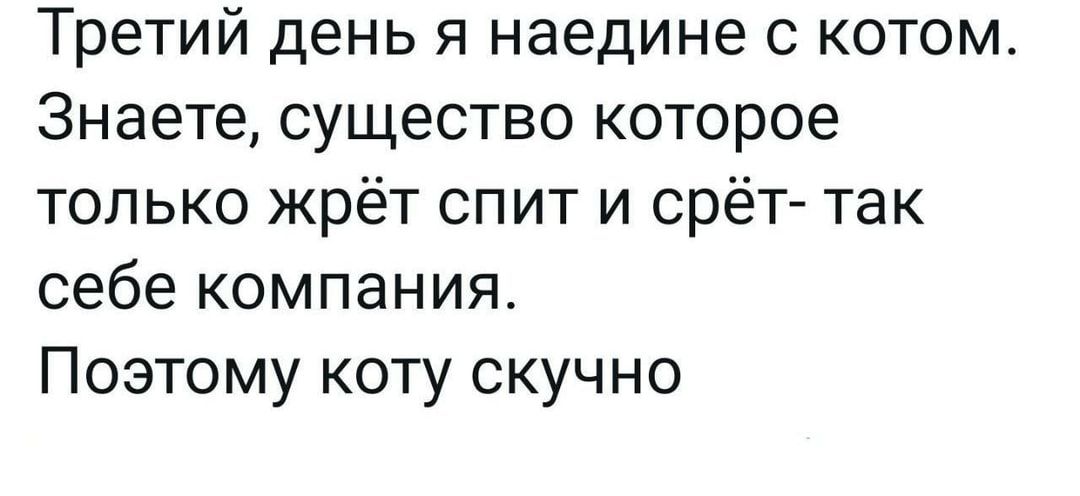 Третий день я наедине с котом Знаете существо которое только жрёт спит и срёт так себе компания Поэтому коту скучно