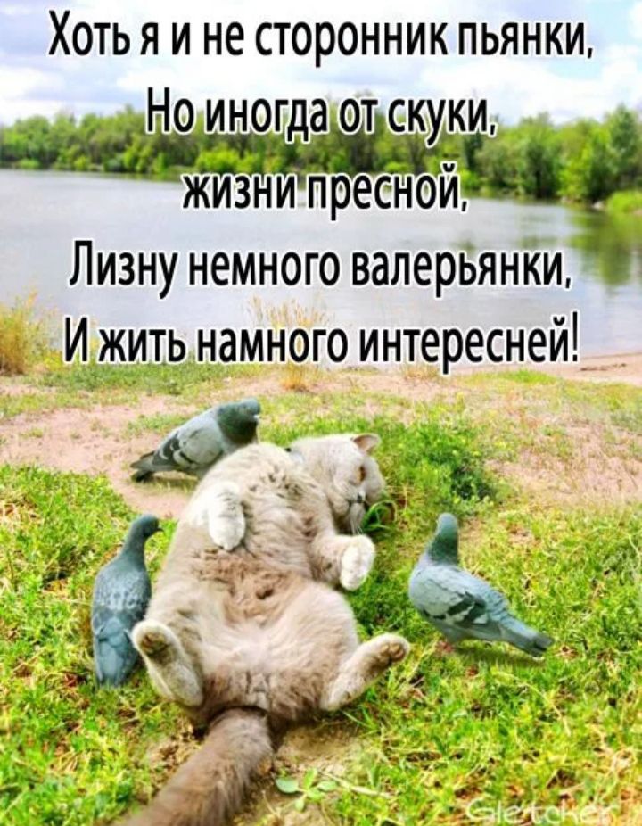 ХОТЬ Я И не СТОРОННИК ПЬЯНКИ Лизну немного валерБянйи к _И_житАь намного интересней_