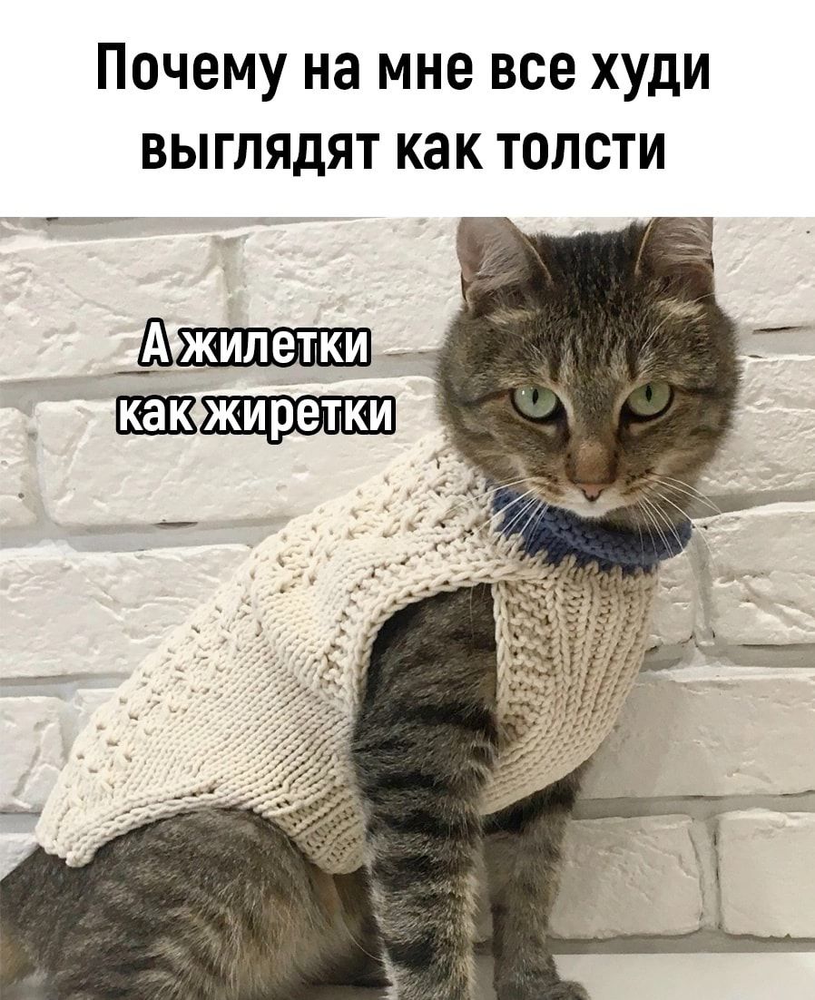 Почему на мне все худи выглядят как толсти із
