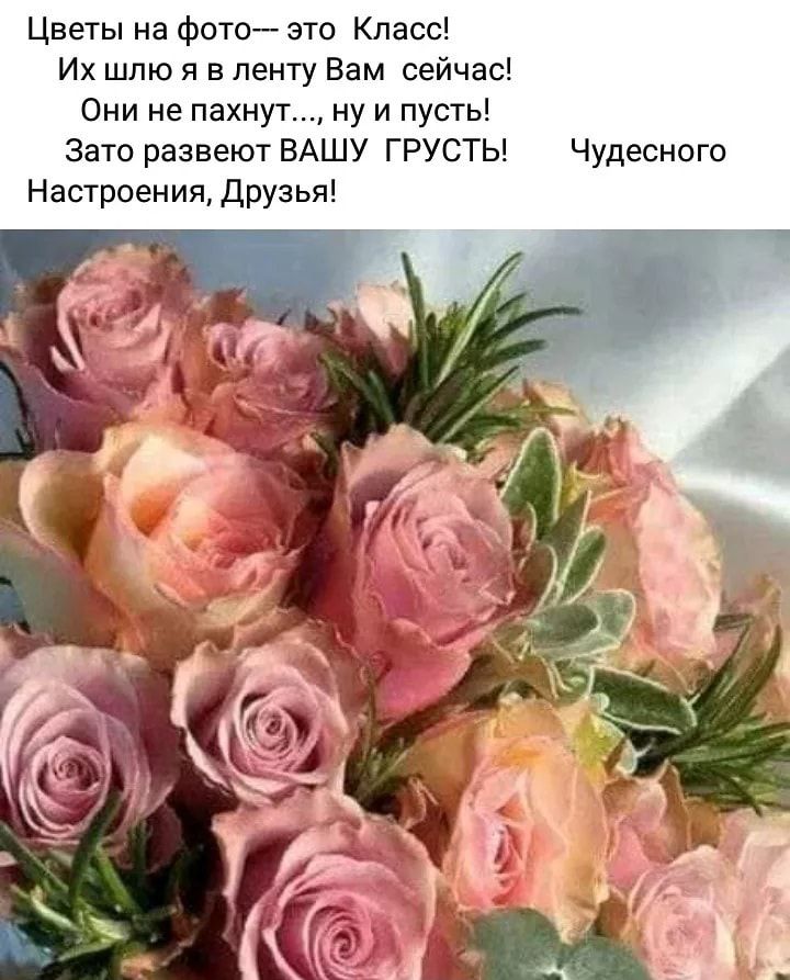Цветы на Фото зто Класс Их шлю я в ленту Вам сейчас Они не пахнут ну и пусть Зато развеют ВАШУ ГРУСТЬ чудесного Настроения друзья