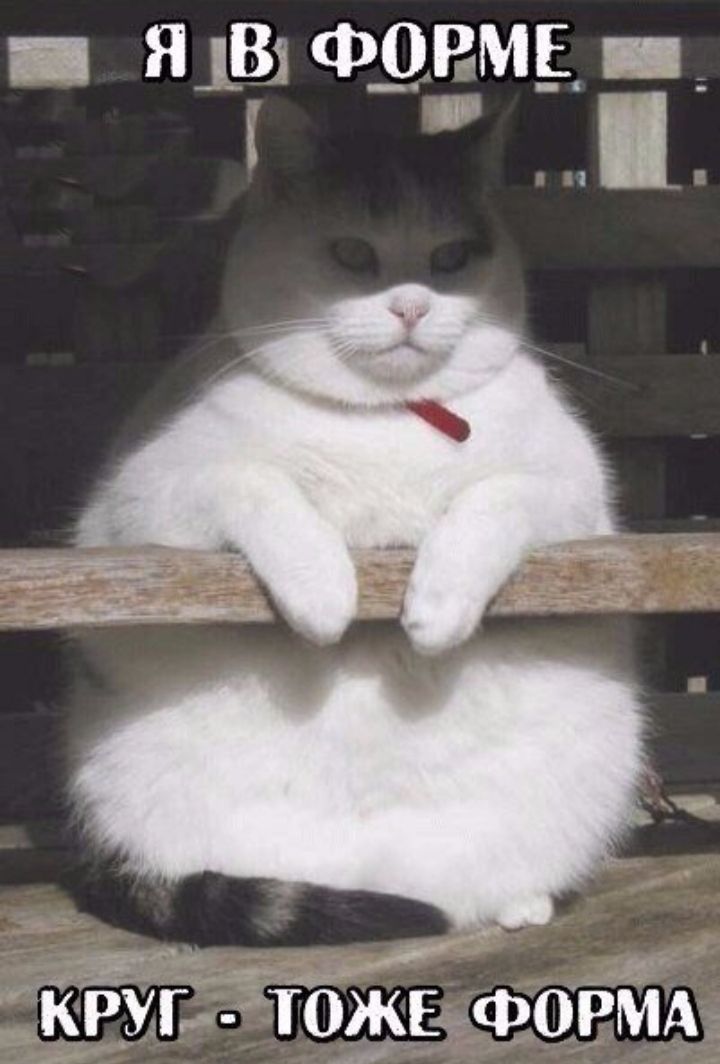 _ ЮВ Ф_0Р_М_Е _ і М 1