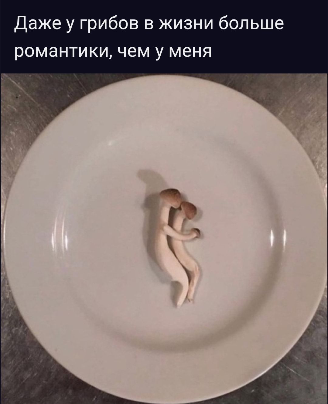 Даже у грибов в жизни больше романтики чем у меня