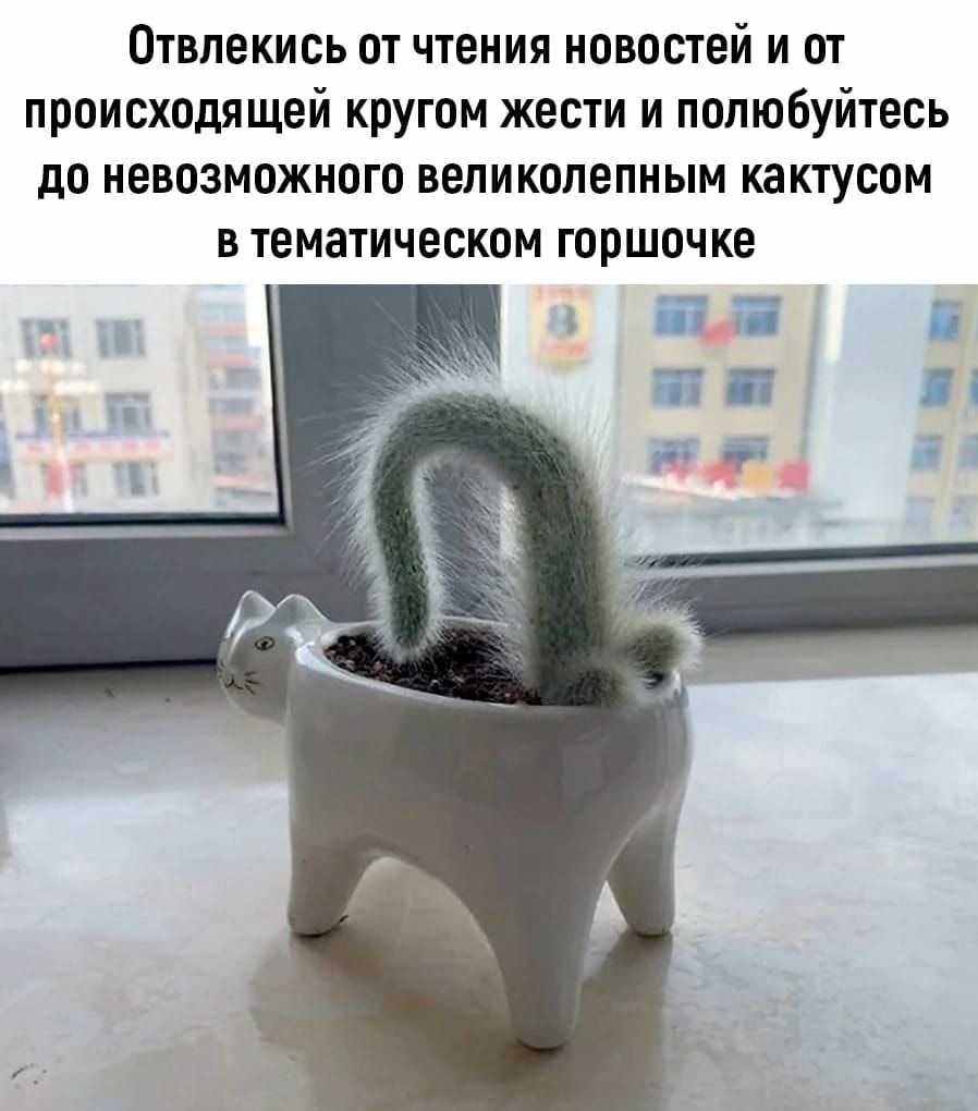 Отвлекись ОТ ЧТЕНИЯ новостей И ОТ происходящей кругом жести и полюбуйтесь до невозможного великолепным какгусон В тематическом горшочке
