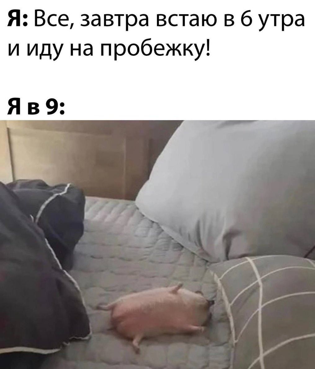 Я Все завтра встаю в 6 утра и иду на пробежку