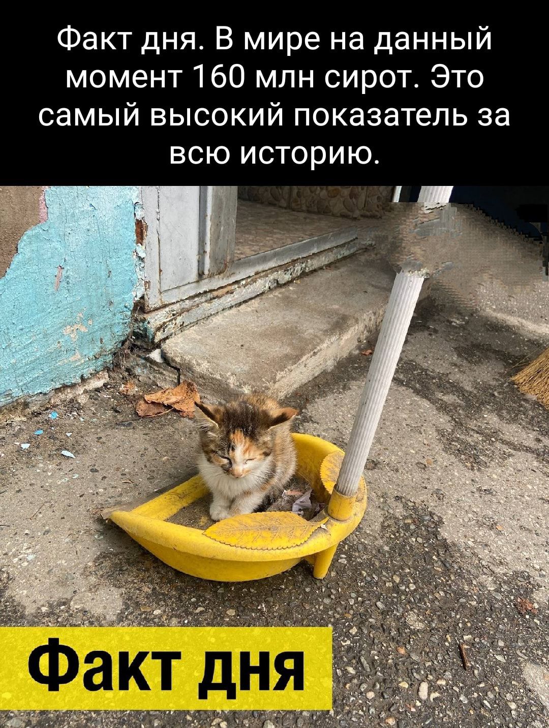 Факт дня В мире на данный момент 160 млн сирот Это самый высокий показатель за всю историю