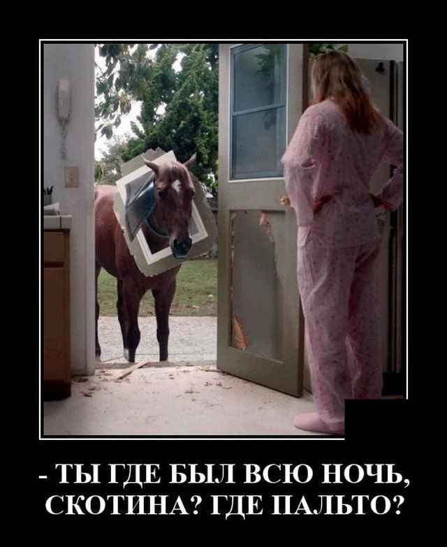 ТЫ ГДЕ БЫЛ ВСЮ НОП СКОТИНА ГДЕ ПАЛЬТО