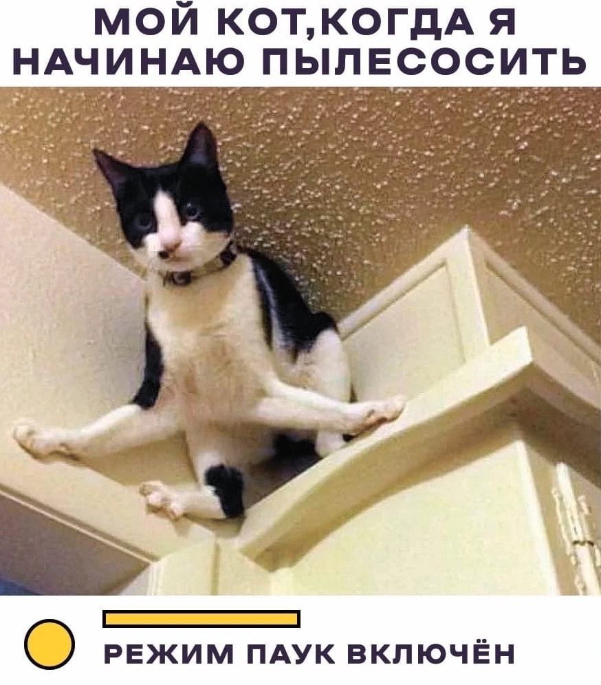 МОЙ КОТКОГдА Я НАЧИНАЮ ПЫПЕСОСИТЬ режим пдук включён