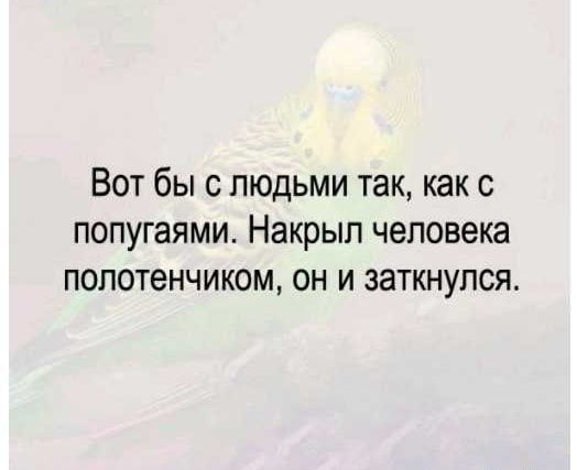 Вот бы с людьми так как с попугаями Накрып человека попотенчиком он и заткнупся