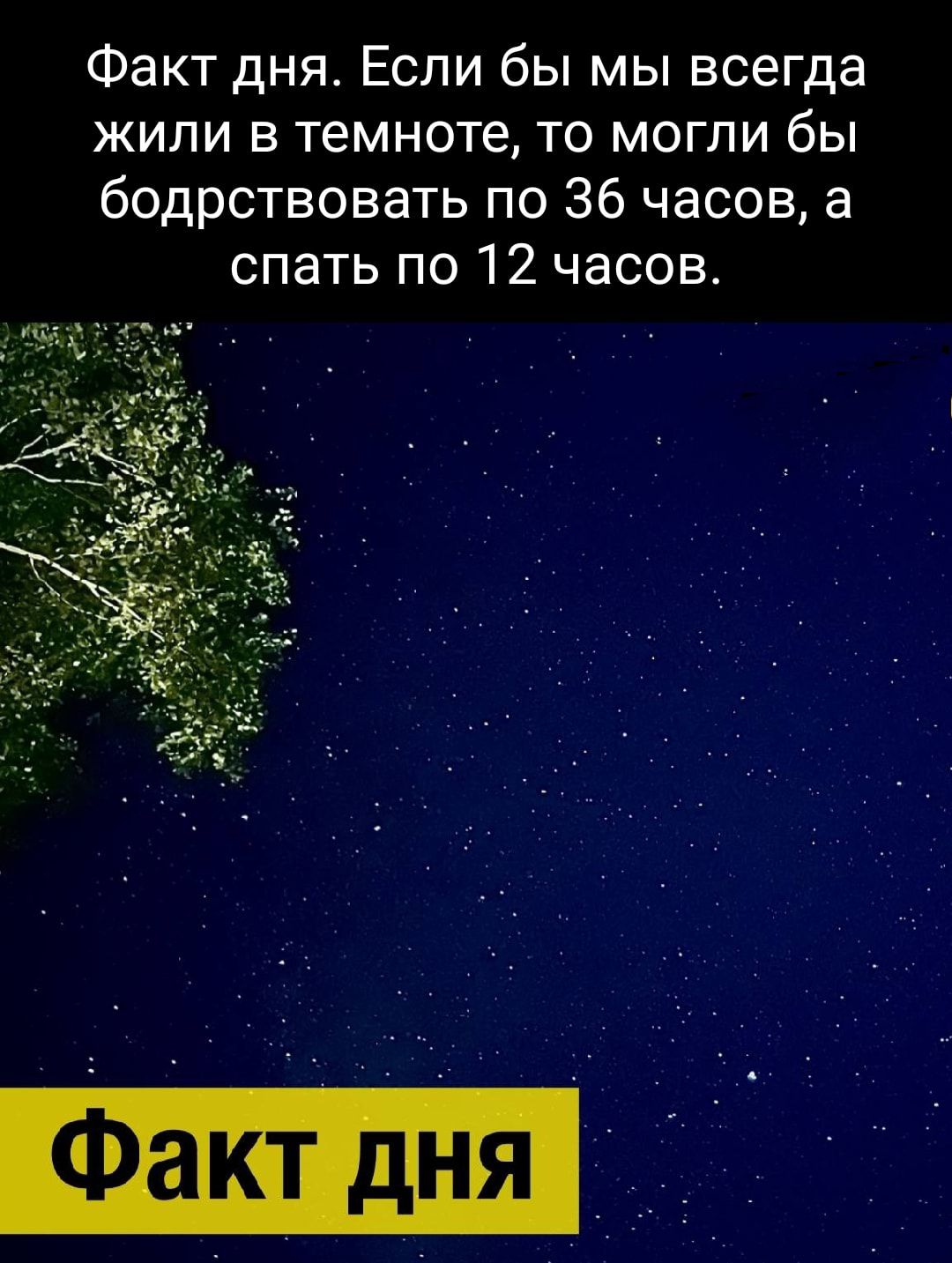 Факт дня Если бы мы всегда жили в темноте то могли бы бодрствовать по 36 часов а спать по 12 часов