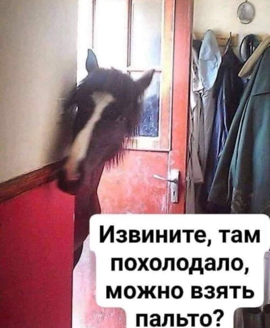 Извините там похолодало можно взять пап ьто