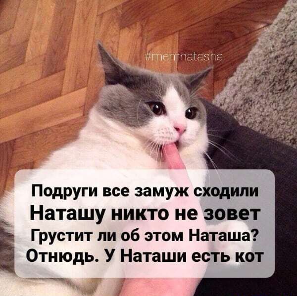 Подруги все замуж сходили Наташу НИКТО не зовет Грустит ли об этом Наташа Отнюдь У Наташи есть кат