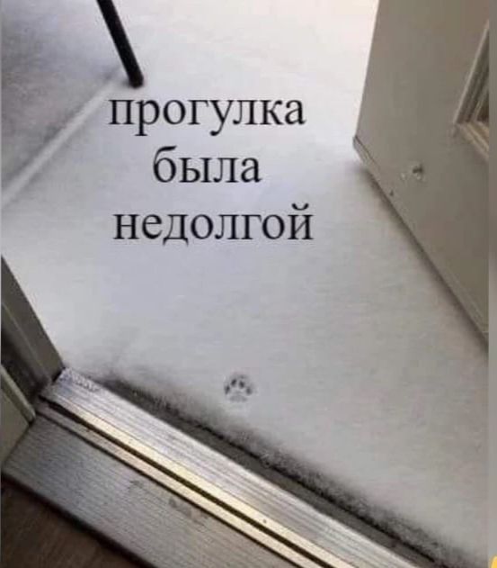 прогулка была недолгой