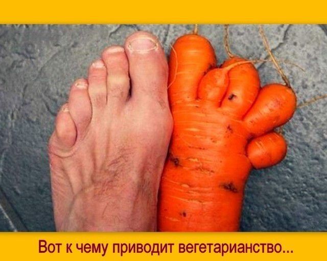 ВОТ К ЧЕМУ ПрИВОДИТ вегетарианство