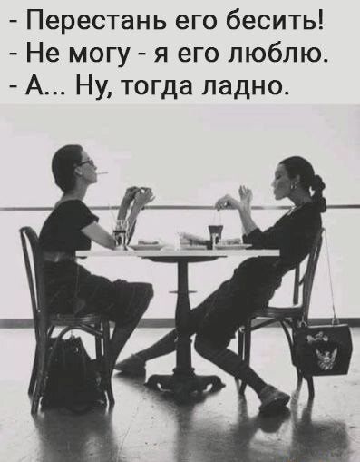 Перестань его бесить Не могу я его люблю А Ну тогда ладно