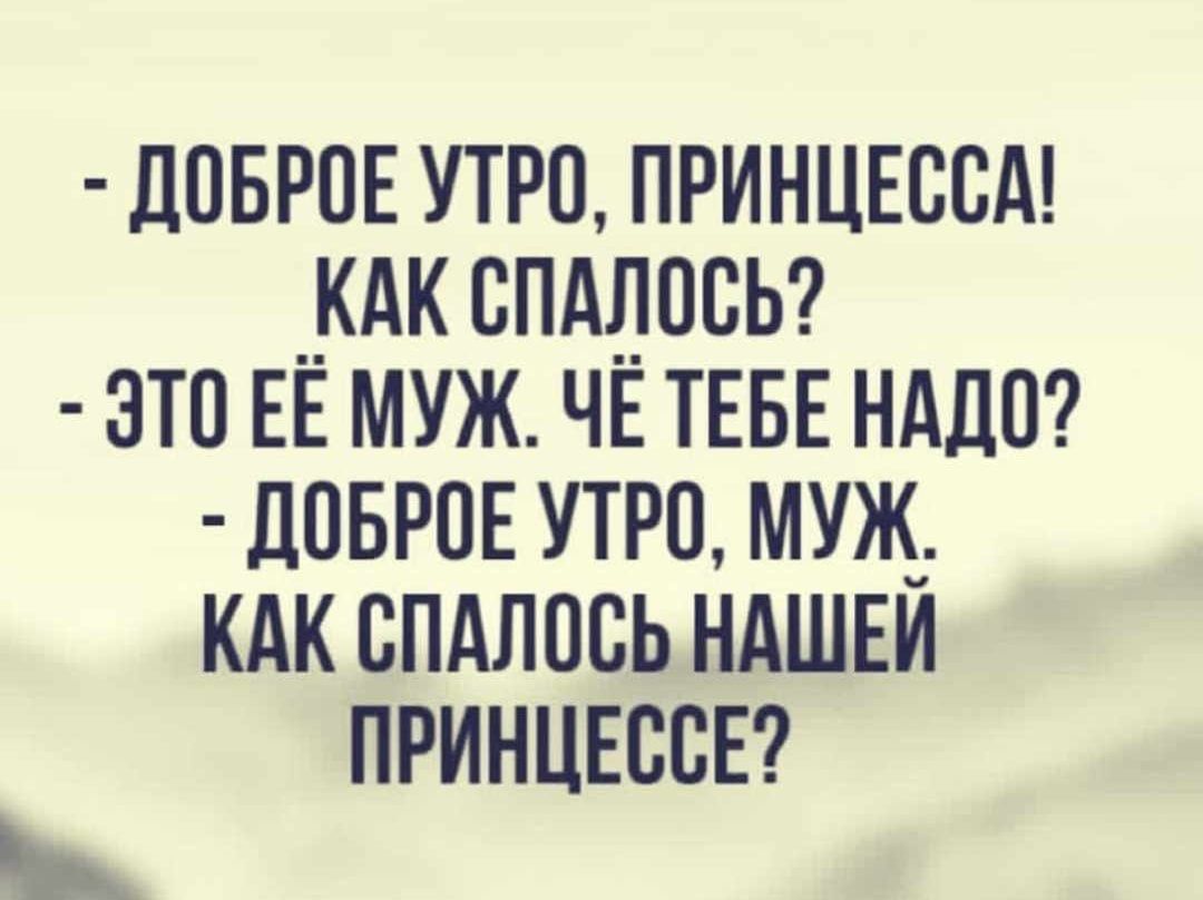 ливров утро принцысд КАК спдлосЬ это ЕЕ муж ЧЕ ТЕБЕ нддт дпврое утра муж_ кдк спдлпсь ндшви ПРИНЦЕВВЕ