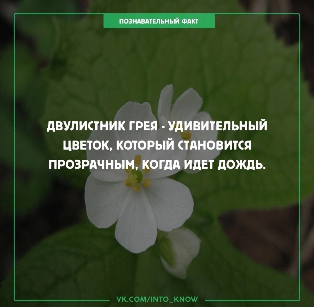 емМТОХМВШ
