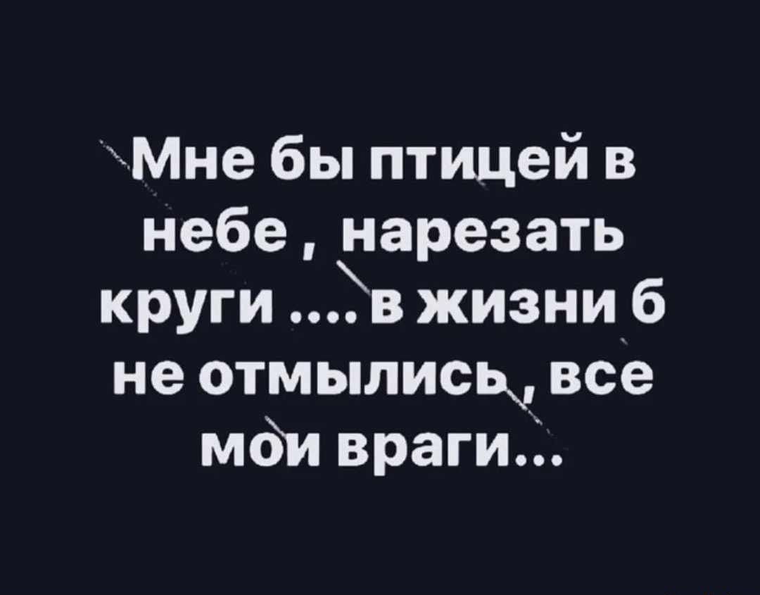 Мне бы птицей в небе нарезать круги в жизни 6 не отмыписц все мди враги