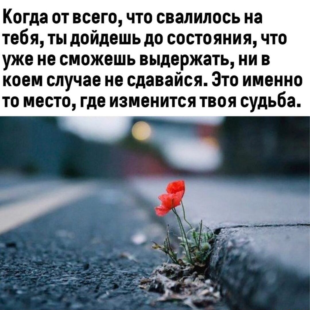 Когда от всего что свалилось на тебя ты дойдешь до состояния что уже не сможешь выдержать ни в коем случае не сдавайся Это именно то место где изменится твоя судьба