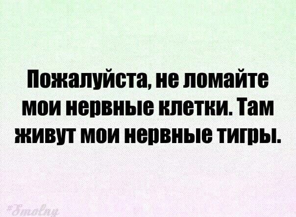 Пожалуйста не помайте мои наивные ипвтии Там живут мои иепвиыв тигры