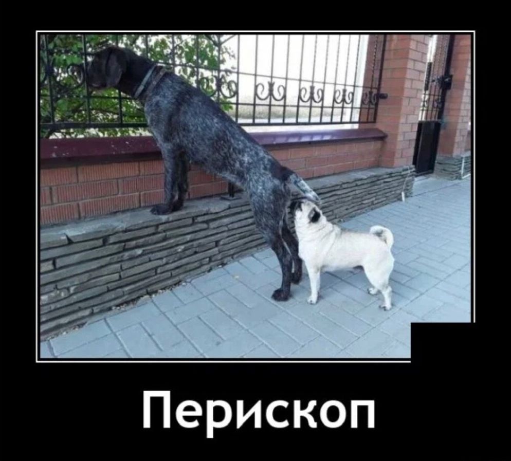 Перископ