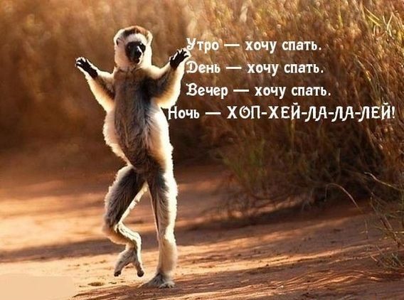 нь хочу спать Вечер хочу спать очь ХП ХЕЙ ЛА ЛА ЛЕЙ