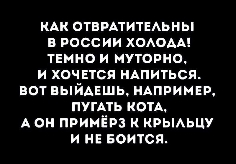 КАК ОТВРАТИТЕАЬНЫ В РОССИИ ХОАОАА ТЕМНО И МУТОРНО И ХОЧЕТСЯ НАПИТЬСЯ ВОТ ВЫЙАЕШЬ НАПРИМЕР ПУГАТЬ КОТА А ОН ПРИМЁРЗ К КРЫАЬЦУ И НЕ БОИТСЯ