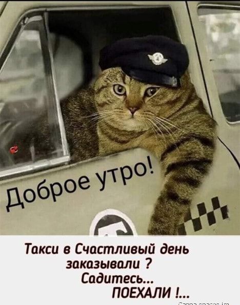 Такси в Счастливый день заказывали Садитесь
