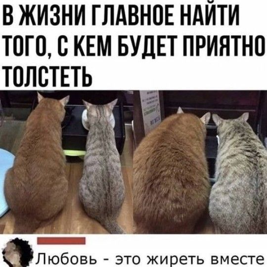 В ЖИЗНИ ГЛАВНОЕ НАИТИ ТОГО В КЕМ БУДЕТ ПРИЯТНО ТОЛБТЕТЬ Г к 2 ёс Любовь это жи еть вместе