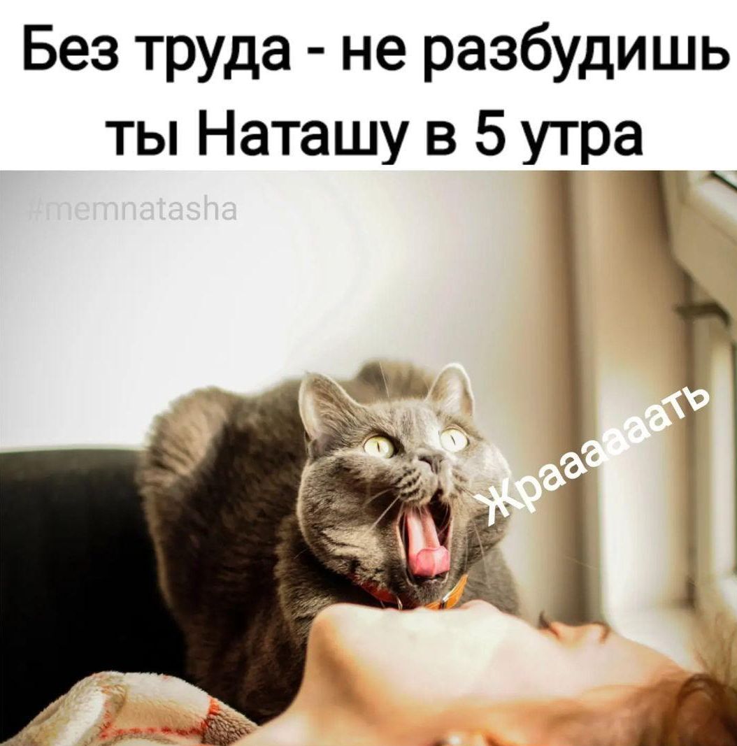 Без труда не разбудишь ты Наташу в 5 утра