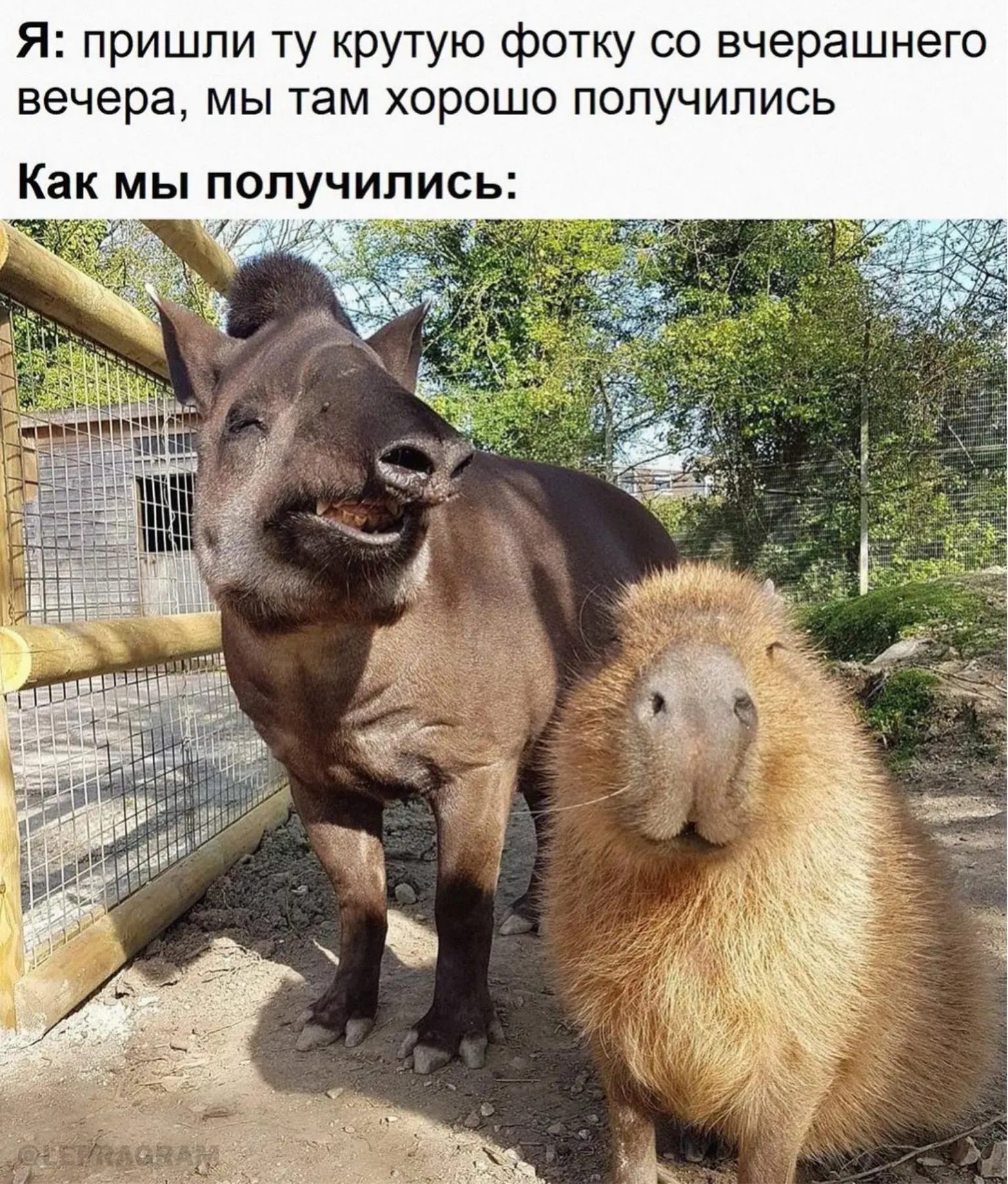 Я пришли ту крутую фотку со вчерашнего вечера мы там хорошо получились Как МЫ ПОПУЧИПИСЬ