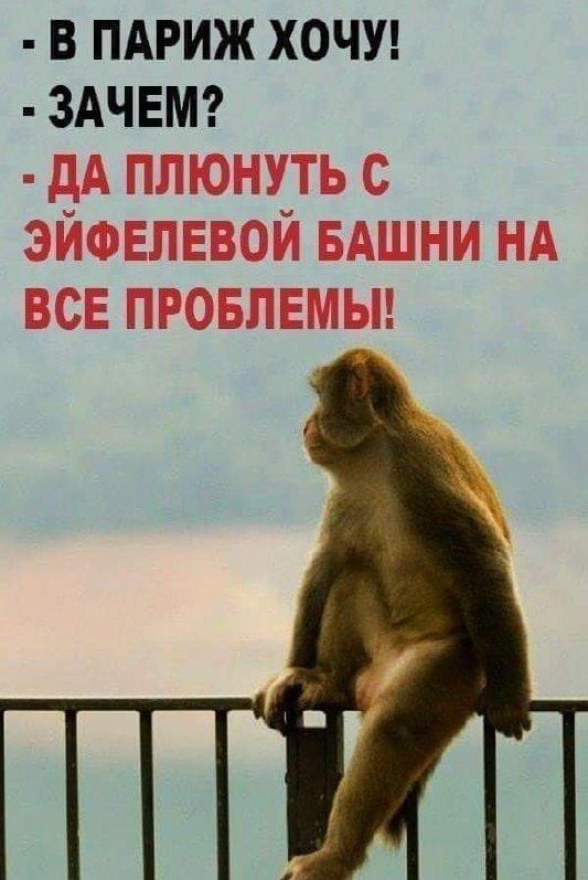 В ПАРИЖ ХОЧУ ЗАЧЕМ