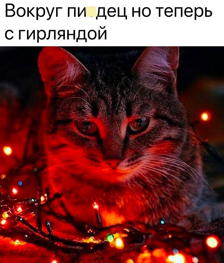 Вокруг пи дец но теперь с гирпяндой