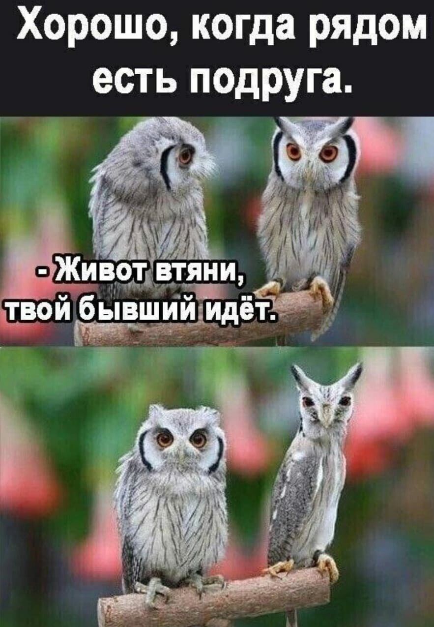 Хорошо когда рядом есть подруга Живтдвтяни Чаи твйбывшшй ет мд тд