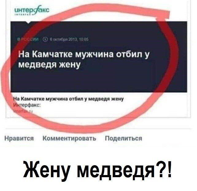 На Камчатке мужчина отбип у медведя жену кп ву Мбит у и ну на Напитки коммировш Надеяться Жену медведя