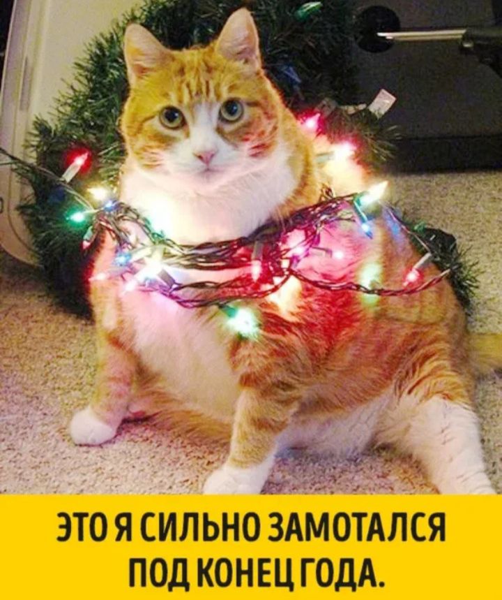 ЭТО Я СИЛЬНО ЗАМОТАЛСЯ ПОД КОНЕЦ ГОДА