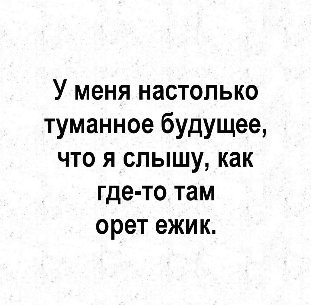 У меня настолько туманное будущее что я слышу как где то там орет ежик